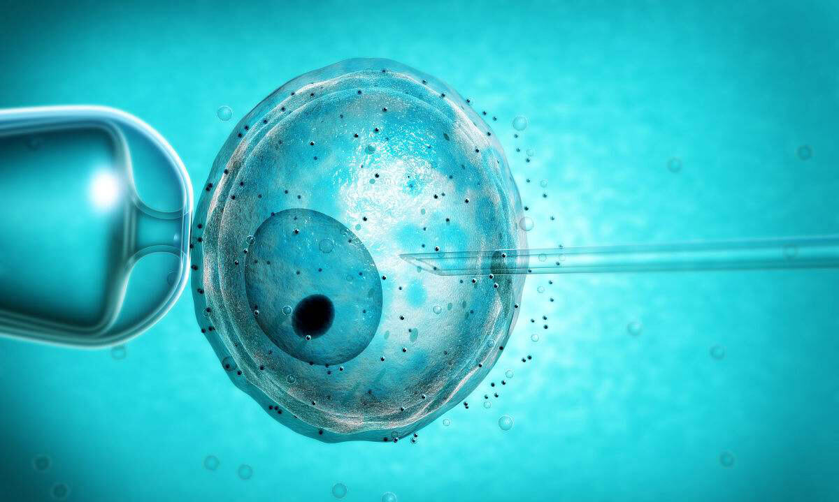 高原环境与拉萨地区不孕不育发生率的相关性研究